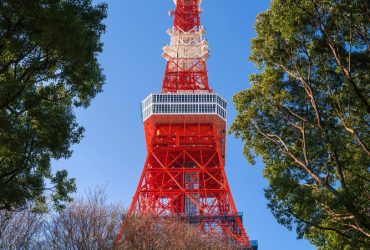 Japan: Zwangssterilisation war verfassungswidrig